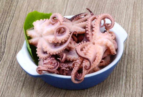 Gemarineerde baby octopus — Stockfoto