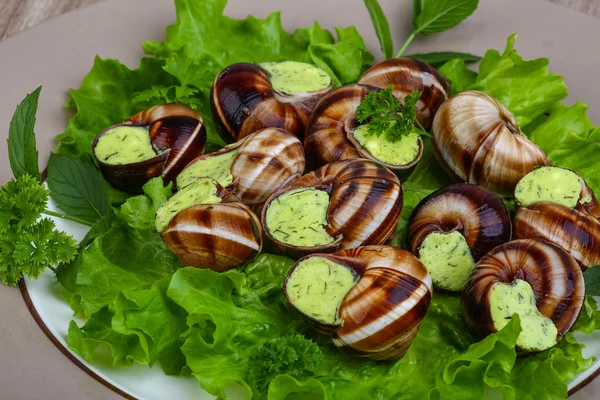 Cozinha francesa - Escargots com manteiga — Fotografia de Stock