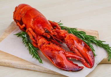 Taze haşlanmış ıstakoz