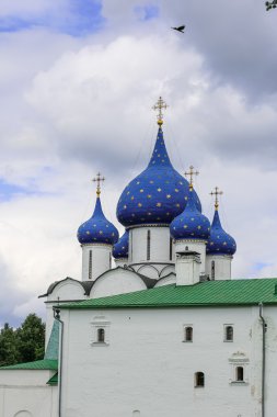 tarihi kent Suzdal