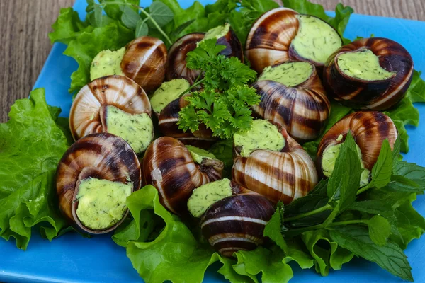 Cuisine française - Escargots au beurre — Photo