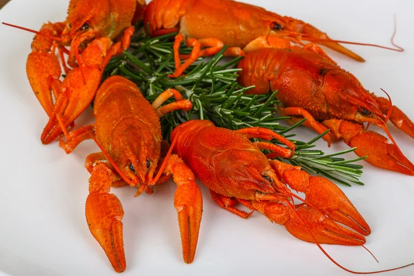 로즈마리와 삶은 Crayfishes — 스톡 사진