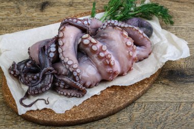 ham ahtapot yemek için hazır