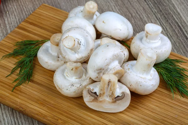 신선한 원시 Champignons — 스톡 사진