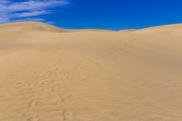 Maspalomas Duna - Pustynia na Wyspach Kanaryjskich Gran Canaria — Zdjęcie stockowe