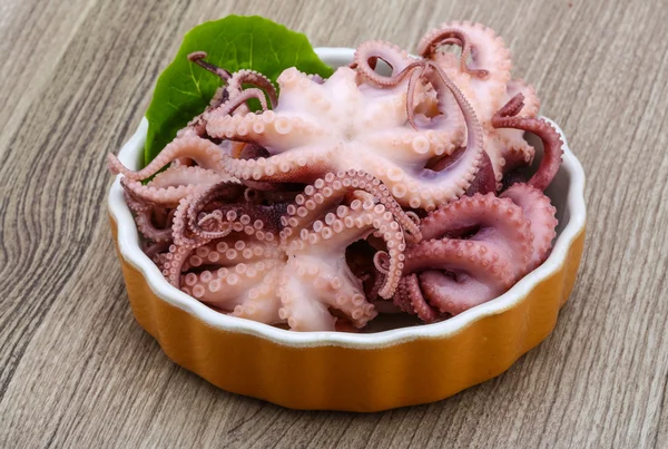 Boiled octopus in the bowl — Stock Photo, Image