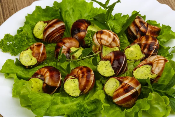 Fransız mutfağı - Escargots tereyağı ile — Stok fotoğraf