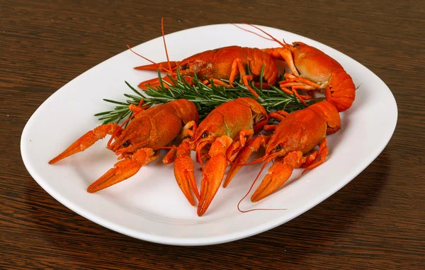 Rosemary ile haşlanmış Crayfishes — Stok fotoğraf