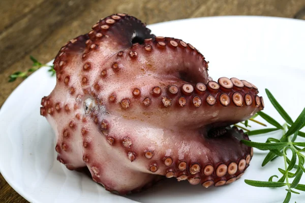 用草药煮的章鱼 — 图库照片
