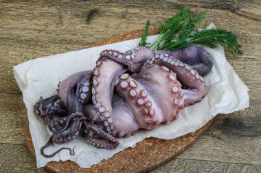 ham ahtapot yemek için hazır