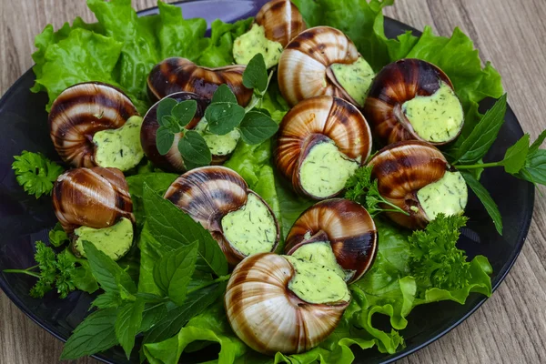 Francouzská kuchyně Escargot — Stock fotografie