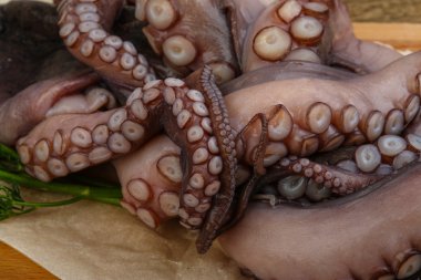 Ahşap üzerine Ham ahtapot