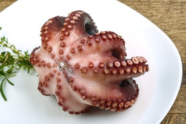 Herb ile haşlanmış ahtapot