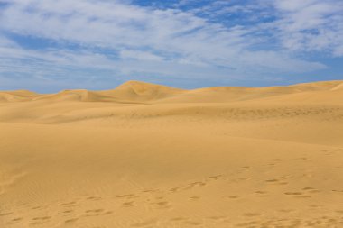 Kanarya Adası'çöl