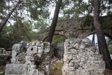 Phaselis harabelerini Türkiye'de