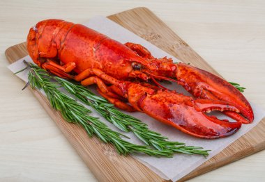 Taze haşlanmış ıstakoz