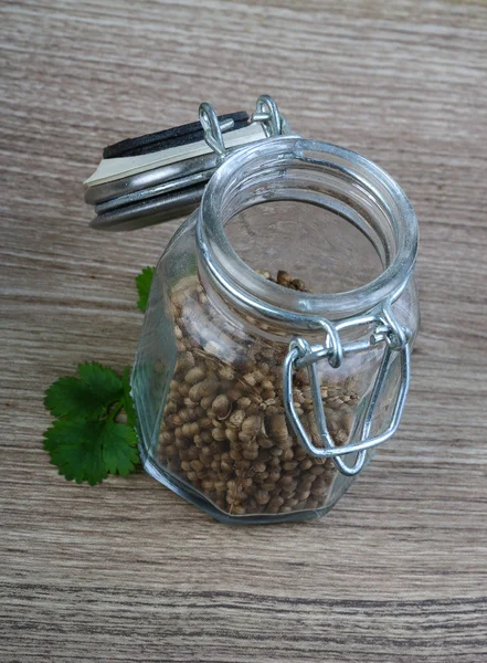 Coriander seeds with leaves — Stock Photo, Image