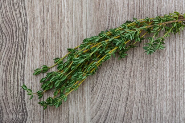 Świeży zieloną gałązkę tymianku — Zdjęcie stockowe