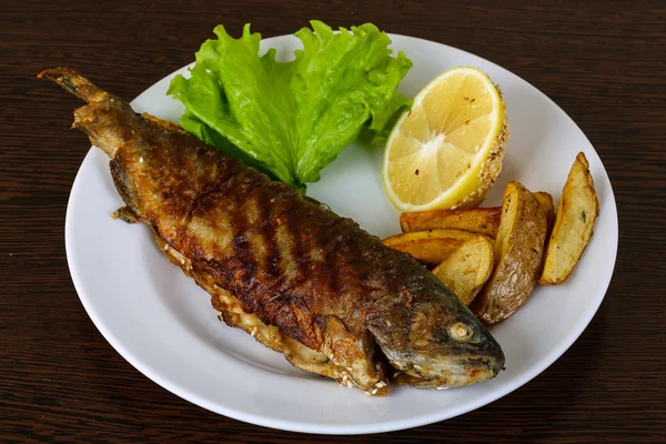 Delicious Grilled trout — Stock Photo, Image