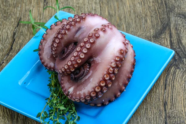 Polpo bollito con erba — Foto Stock