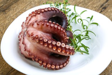 Herb ile haşlanmış ahtapot