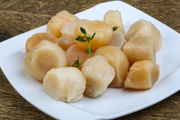 Raw scallops with thyme — Stock Photo, Image