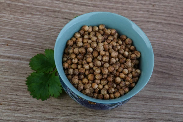 Coriander seeds with leaves — Stock Photo, Image