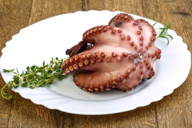 Herb ile haşlanmış ahtapot