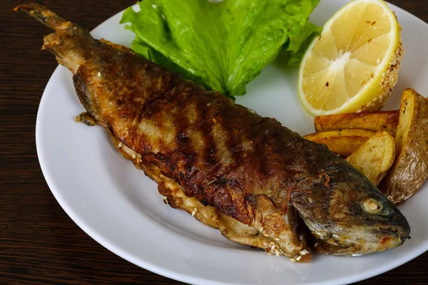 Delicious Grilled trout — Stock Photo, Image