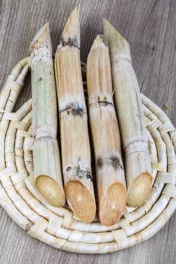 Olgun şeker çubukları