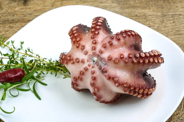 Polpo bollito con erba — Foto Stock