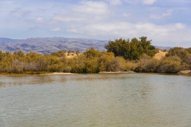 maspalomas dunas vahası