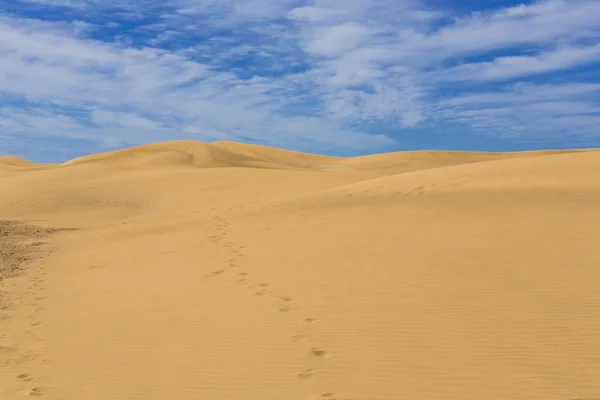 Maspalomas Duna Desert — Stockfoto