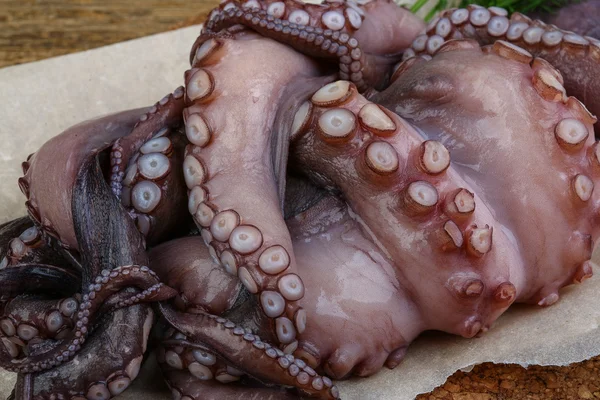 Big Raw octopus — Stock Photo, Image