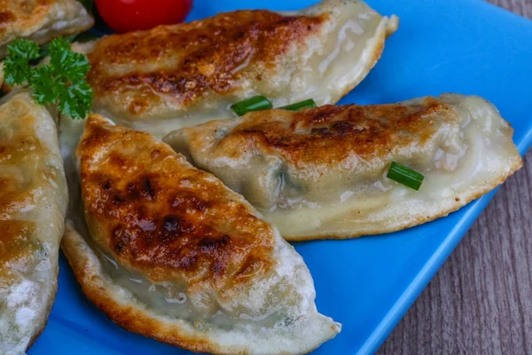 Japonská tradiční kuchyni Gyoza — Stock fotografie