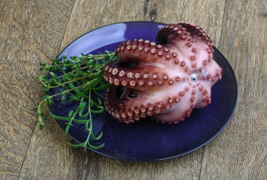 Herb ile haşlanmış ahtapot