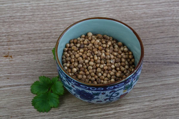 Coriander seeds with leaves — Stock Photo, Image