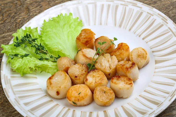 Baked scallops with sauce — Stock Photo, Image