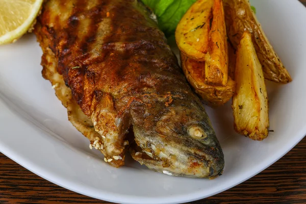 Trucha a la parrilla con papa — Foto de Stock