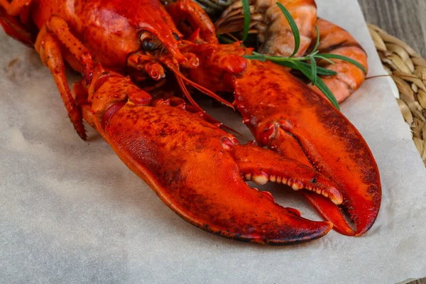 Grand homard cuit et crevettes — Photo