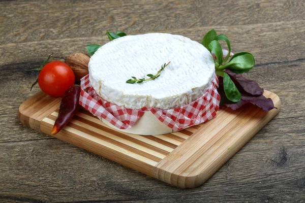 Delicioso queijo camembert — Fotografia de Stock