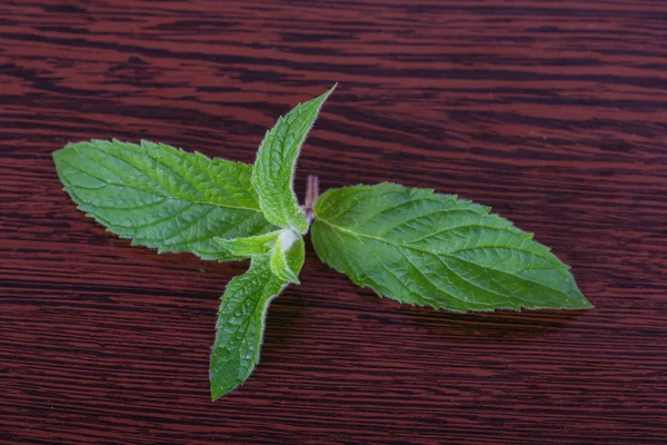 Hojas de menta verde fresca Imagen De Stock