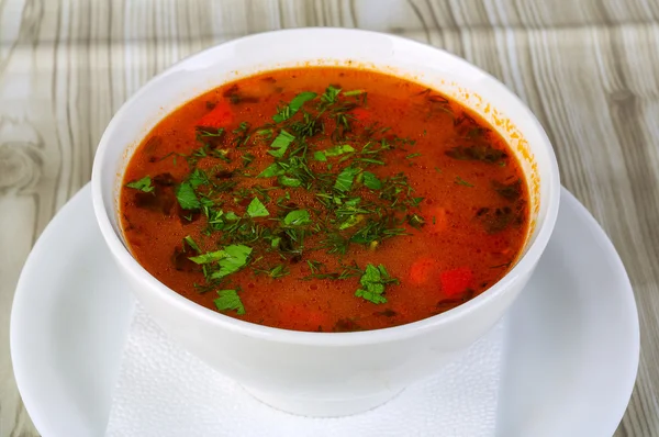 Русский традиционный капустный суп — стоковое фото