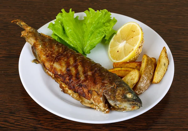 Grilled trout with potato — Stock Photo, Image