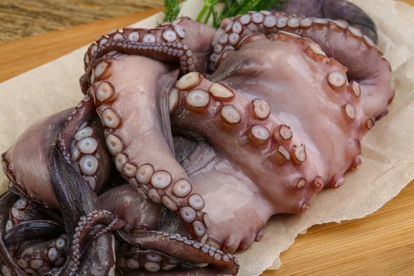 Grote Raw octopus — Stockfoto