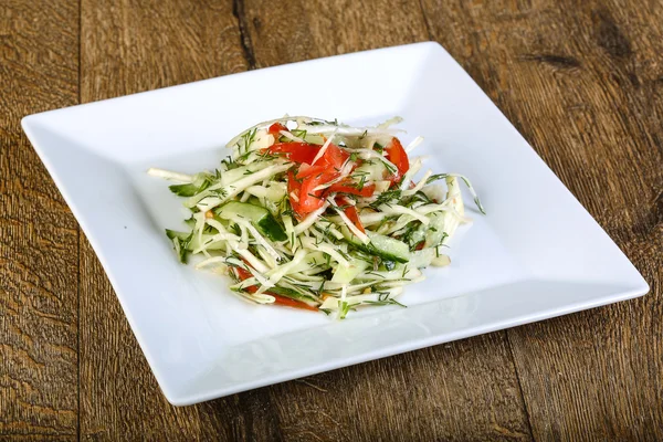 Salat mit Kohl und Gurken — Stockfoto