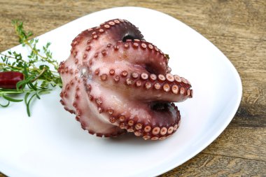 Herb ile haşlanmış ahtapot