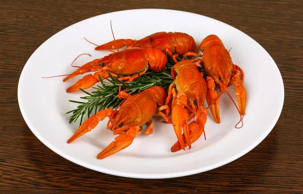 Boiled Crayfish with rosemary — Stock Photo, Image