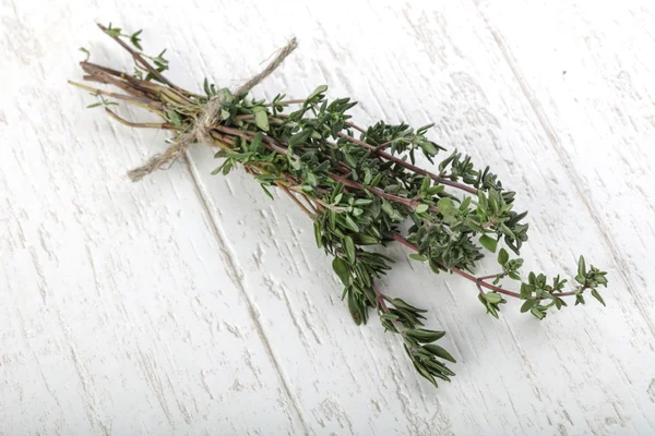 Frischer grüner Thymianhaufen — Stockfoto