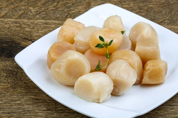 Raw scallops ready for cooking — Stock Photo, Image